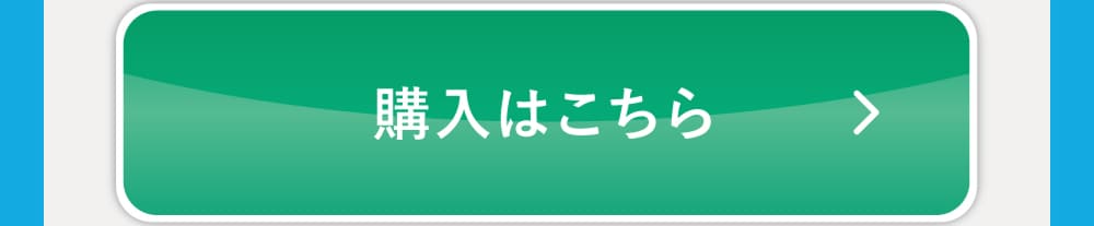 購入はこちら5